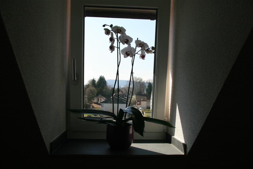 Hotel Eremitage Arlesheim Dış mekan fotoğraf
